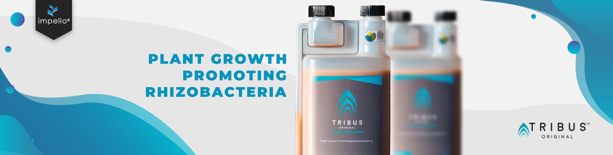 Impello Bio Tribus Plant Growth Promoting Rhizobacteria