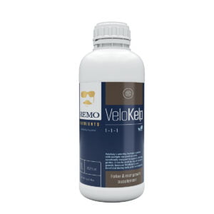 Remo VeloKelp 1 Litre