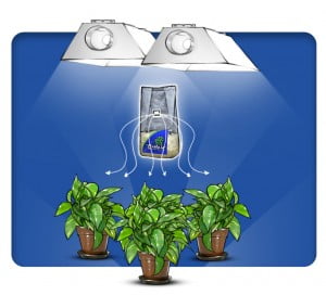 best CO2 system for a CO2 grow room