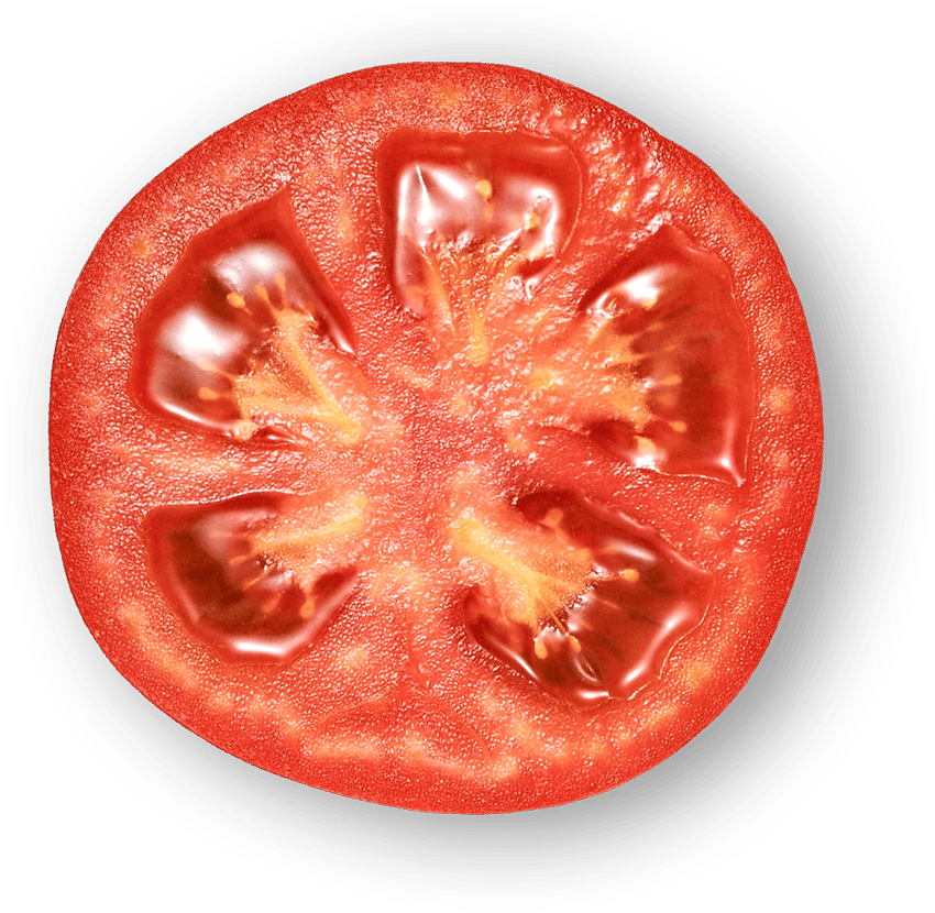 top ten hydroponic fruits and vegetables - tomato