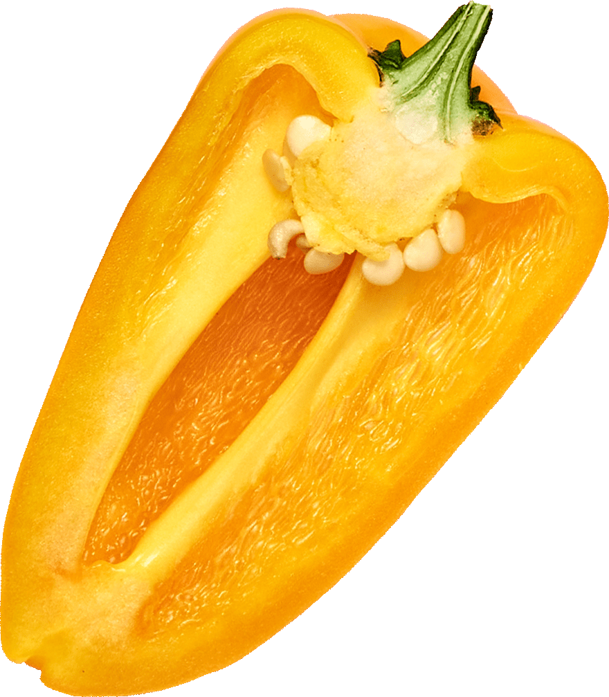 Top 10 hydroponic fruit & veg - yellow pepper