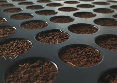 Plug Life Coco Seed Plug propagation tray for rapid & tremendous plant growth