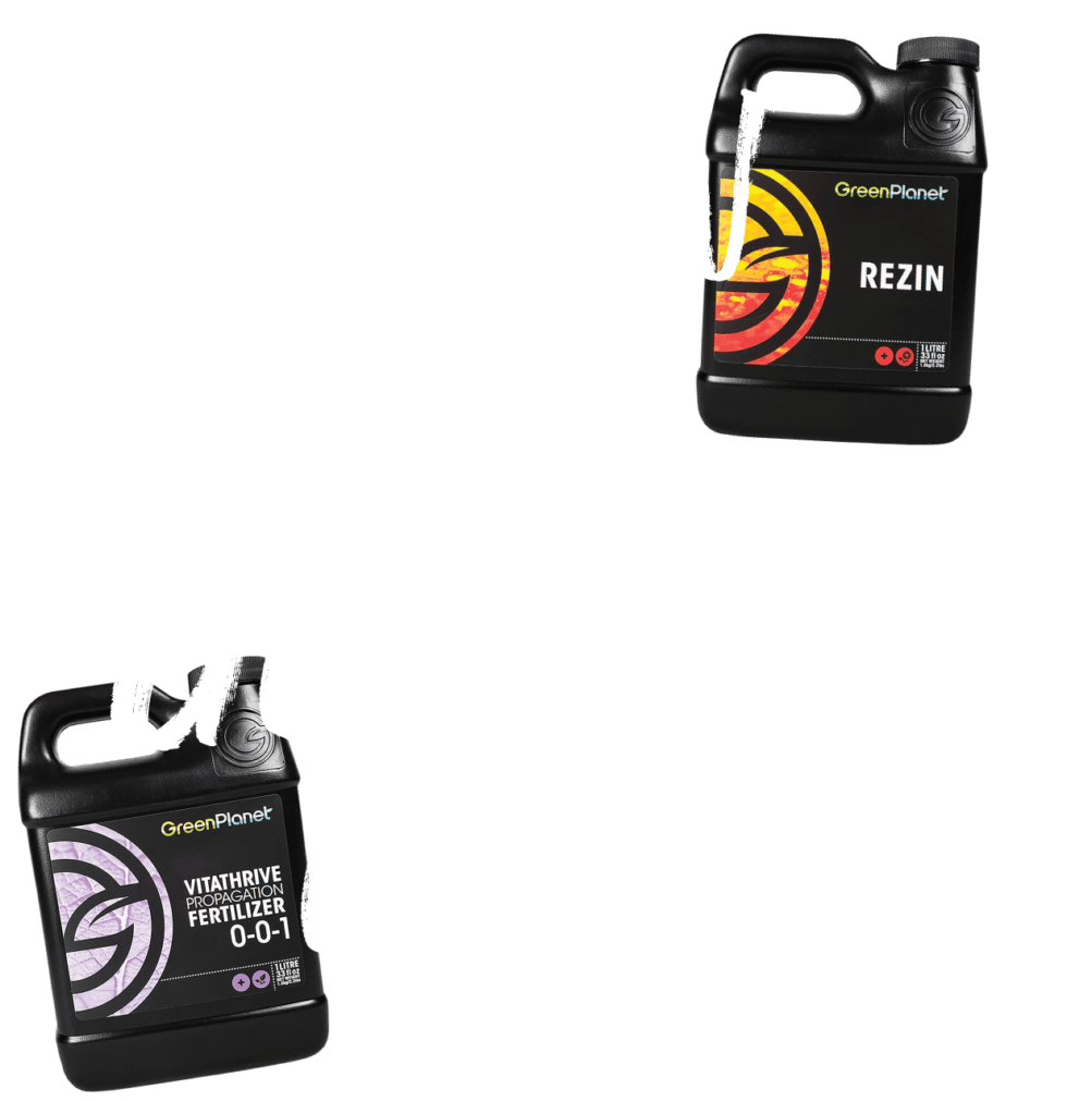 Green Medium Easy Grow Ltd Hydroponic Wholesale