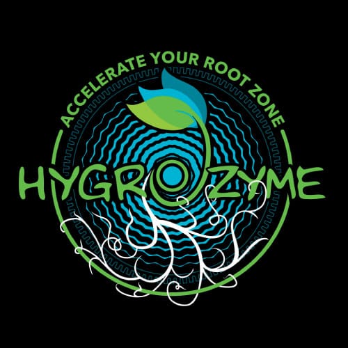 Hygorzyme-Landing-Page-Logo hygrozyme landing page logo