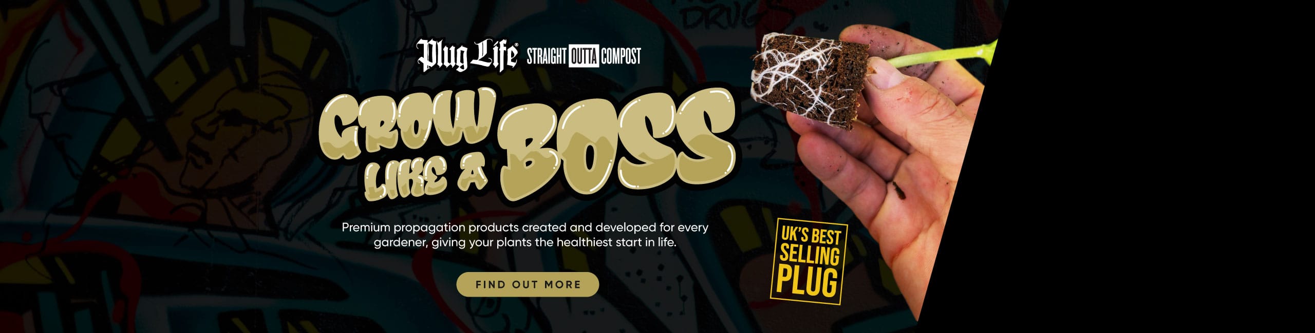 Plug Life Propagation