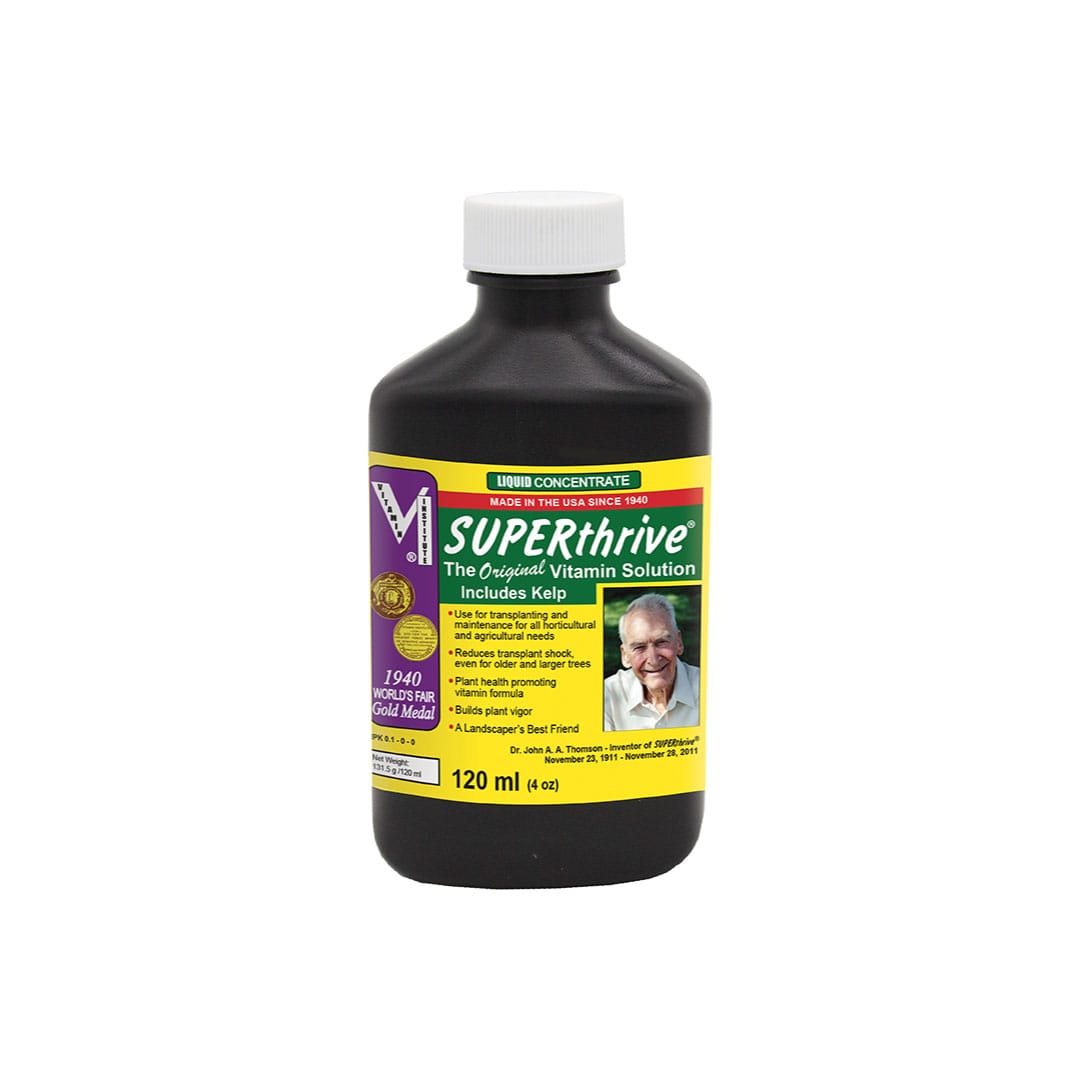 SUPERThrive - Image 3