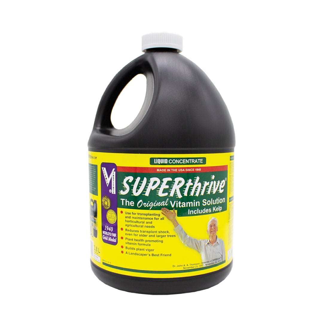 SUPERThrive - Image 2