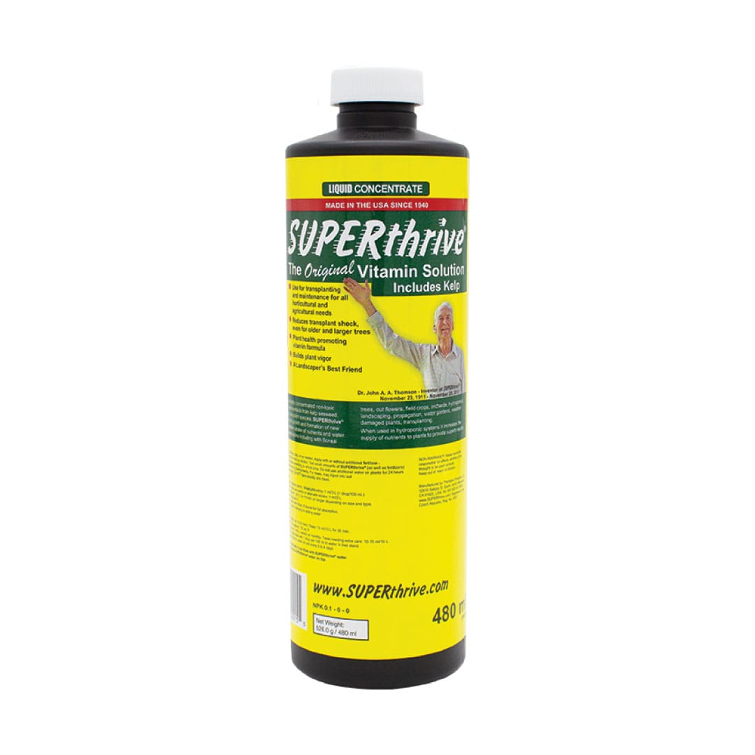 SUPERThrive - Image 4