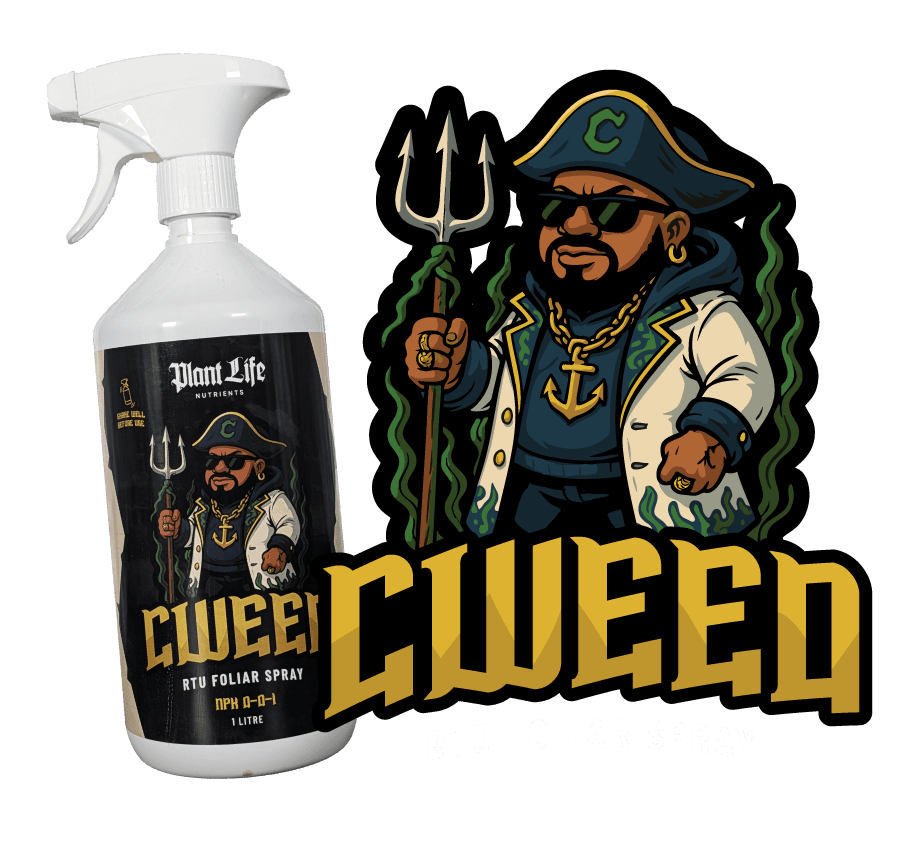 c-weed-product-feature-image-w-logo Purp Booster Terpene Enhancer